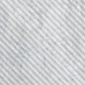 MSI - CARRARA WHITE MILANO RIBBO  HONED - Tile - 12" x 24"