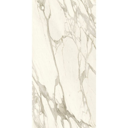 OLYMPIA TILE + STONE - Marmi Europa Series - Porcelain Tile - Calacatta Borghini - 24" x 48"