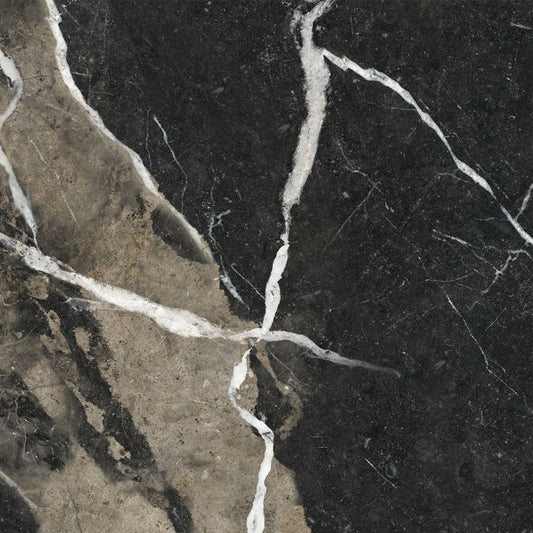 OLYMPIA TILE + STONE - Marmi Alpi Series - Porcelain Tile - Calacatta Black - 24" x 24"