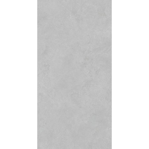 OLYMPIA TILE + STONE - Absolute Series - Porcelain Tile - Cenere - 24" x 48"