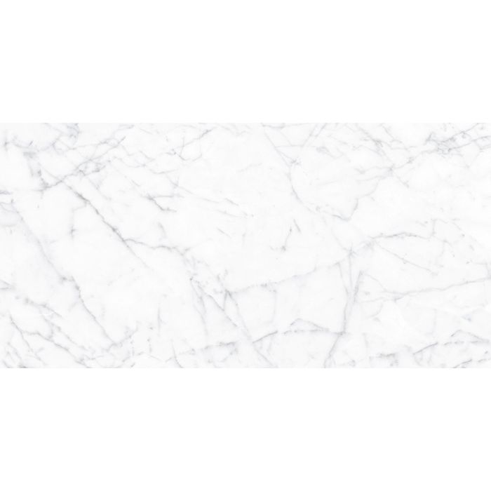 OLYMPIA TILE + STONE - Eterna Series - Porcelain Tile - Carrara Gioia - 12" x 24"