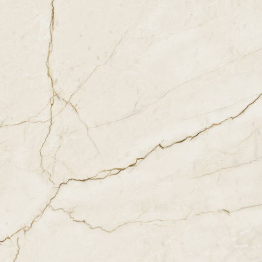OLYMPIA TILE + STONE - Oro Series - Porcelain Tile - Crema Avorio - 24" x 24"