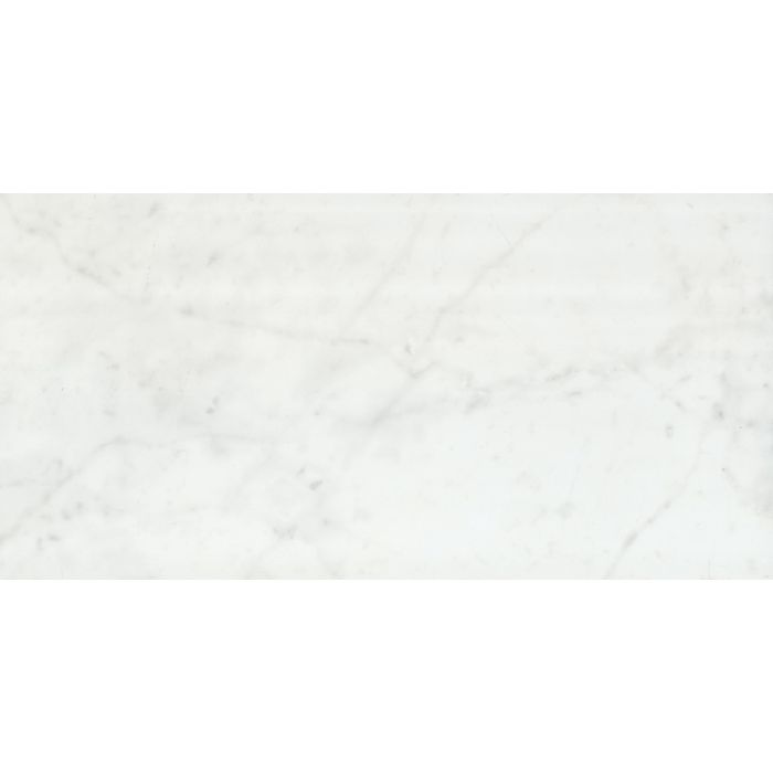 OLYMPIA TILE + STONE - Eterna Series - Porcelain Tile - Carrara White - 24" x 48"