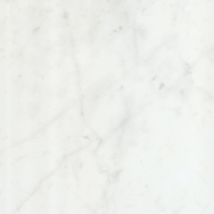 OLYMPIA TILE + STONE - Eterna Series - Porcelain Tile - Carrara White - 12" x 24"