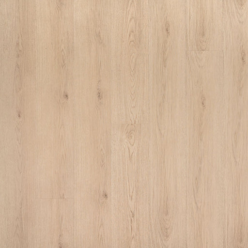 MSI Surfaces - Cyrus® 2.0TM - Chester Hills