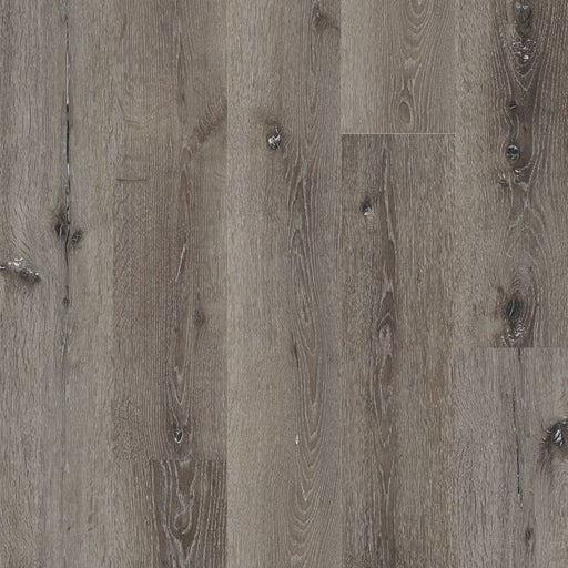 MSI Surfaces - Prescott® Collection - Ludlow