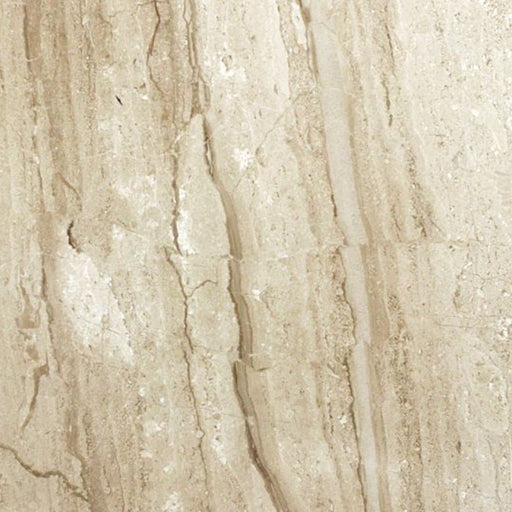 OLYMPIA TILE + STONE - Composite Series - Tile - Marble Daino Royale - 24" x 24"