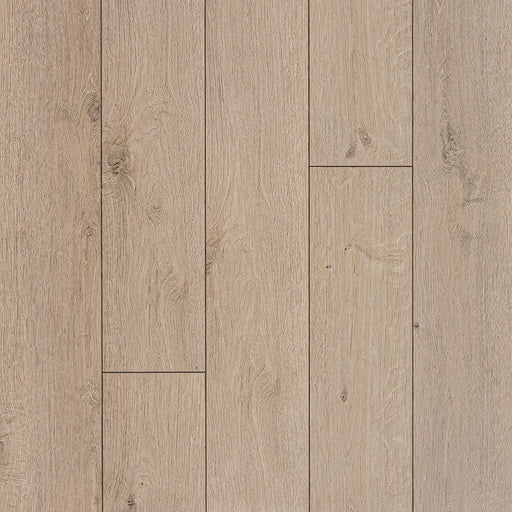 MSI Surfaces - Andover Collection - Daria Umber