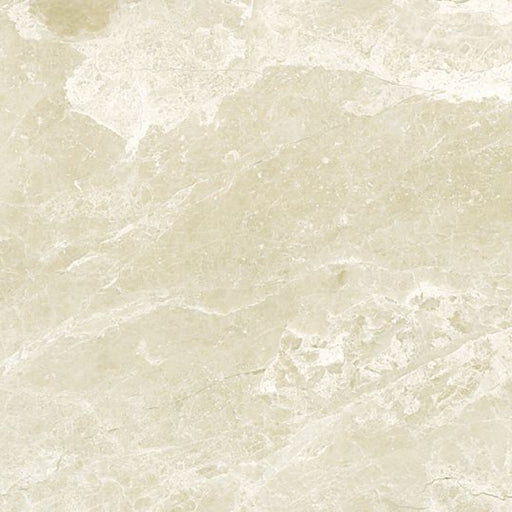 OLYMPIA TILE + STONE - 3D - Tile - D Diana Royal - 12" x 24"