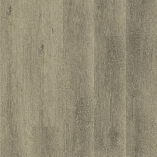 MSI Surfaces - Ashton 2.0 ™ Collection - Dillion Fog