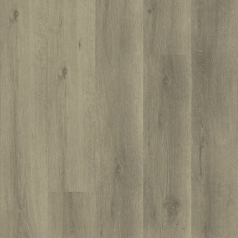 MSI Surfaces - Ashton 2.0 ™ Collection - Dillion Fog