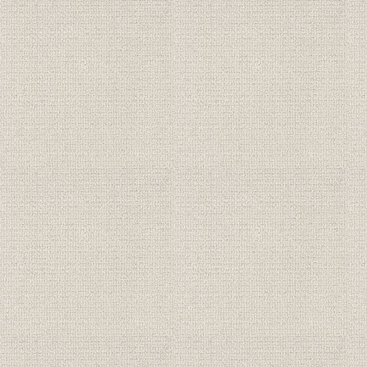 Shaw Floors - Carpet - Classics Collection - Sensible Now - 12' - Crisp Linen