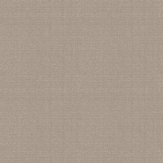 Shaw Floors - Carpet - Classics Collection - Sensible Now - 12' - Studio Taupe