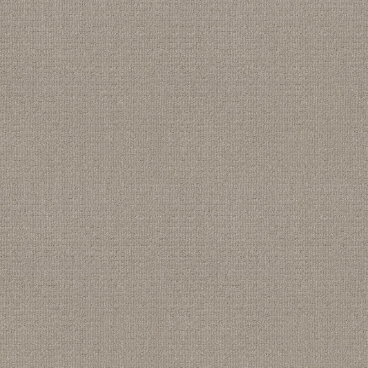 Shaw Floors - Carpet - Classics Collection - Sensible Now - 12' - Quiet Moment