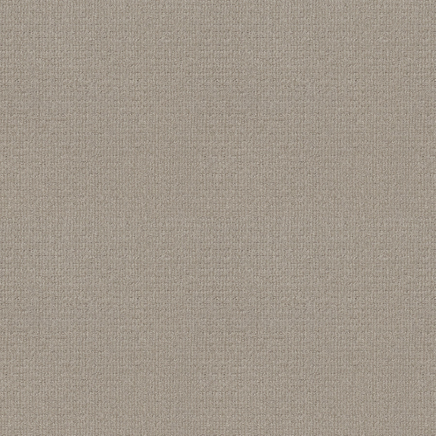 Shaw Floors - Carpet - Classics Collection - Sensible Now - 12' - Quiet Moment