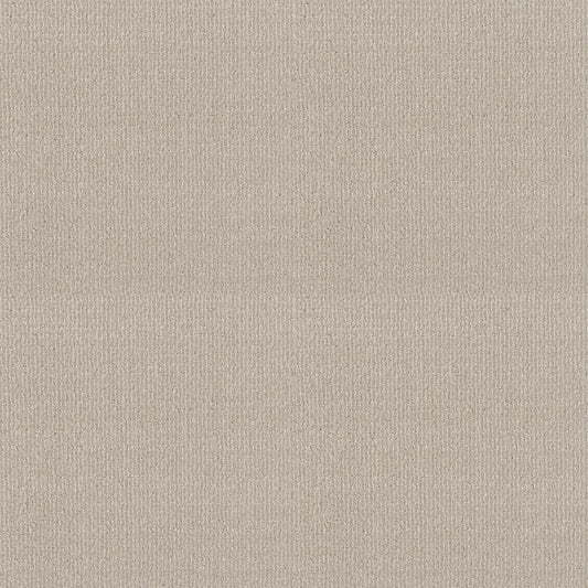 Shaw Floors - Carpet - Classics Collection - Sensible Now - 12' - Alabaster