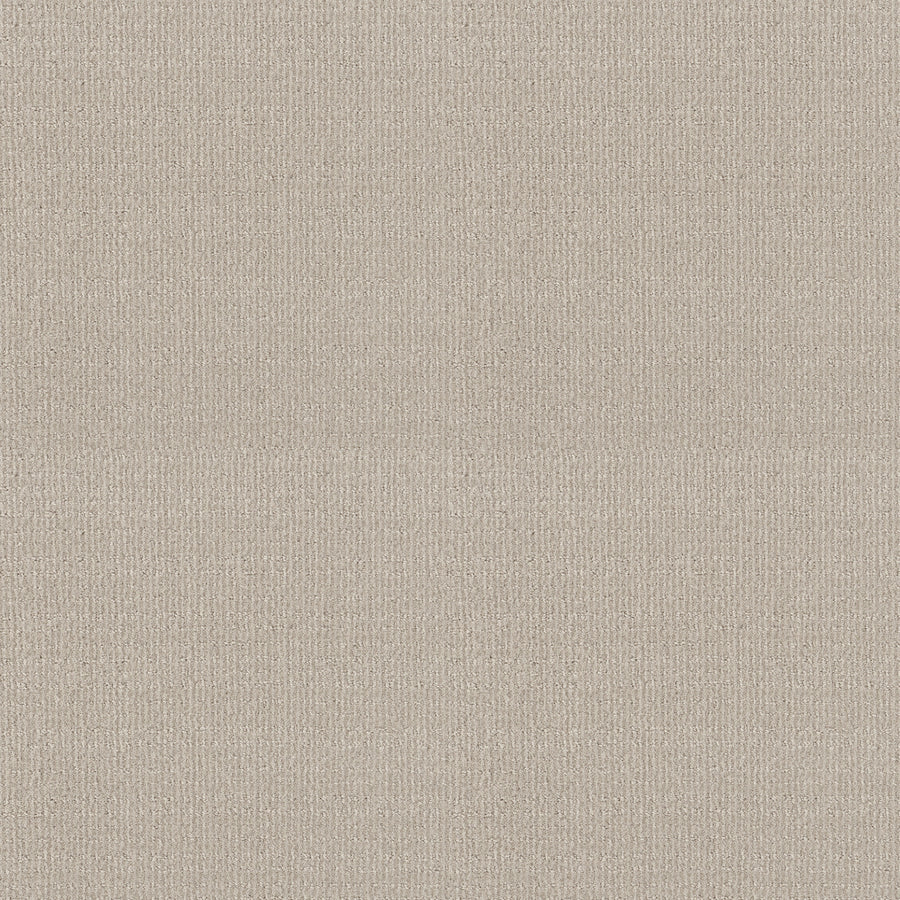 Shaw Floors - Carpet - Classics Collection - Sensible Now - 12' - Alabaster