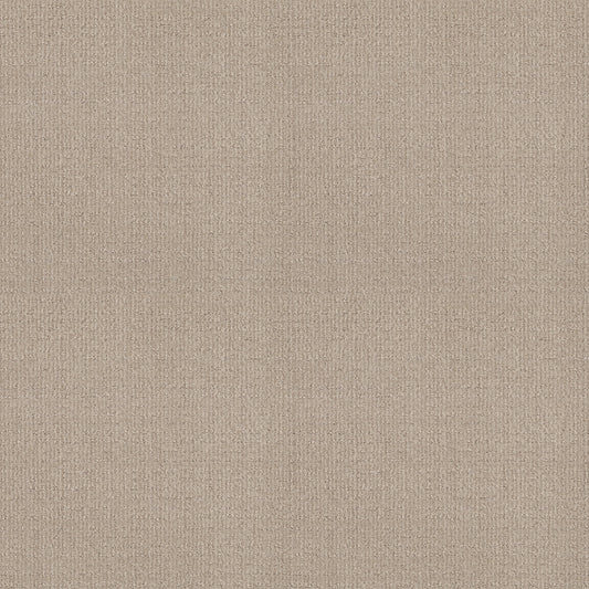 Shaw Floors - Carpet - Classics Collection - Sensible Now - 12' - Passageway