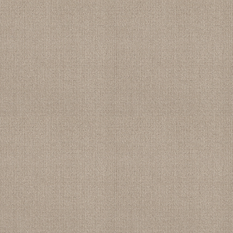 Shaw Floors - Carpet - Classics Collection - Sensible Now - 12' - Passageway