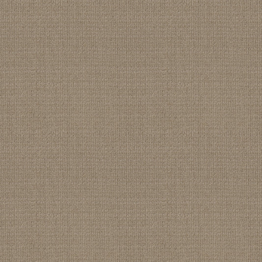Shaw Floors - Carpet - Classics Collection - Sensible Now - 12' - High Noon