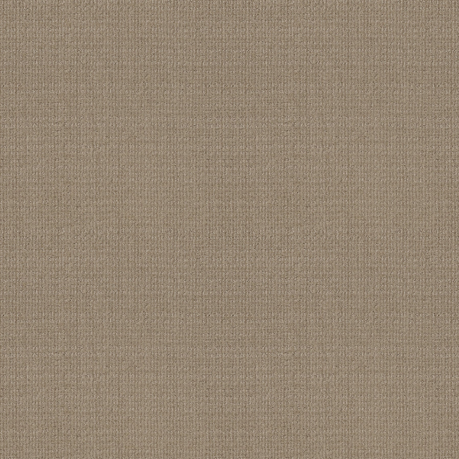Shaw Floors - Carpet - Classics Collection - Sensible Now - 12' - High Noon