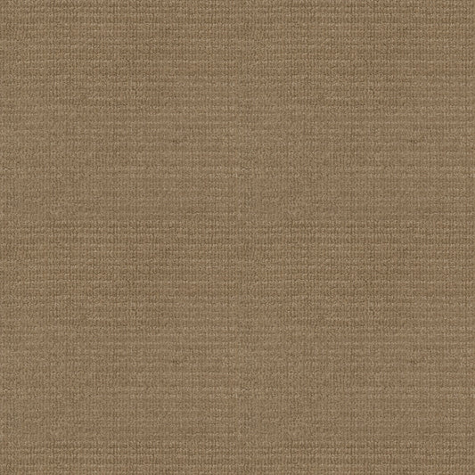 Shaw Floors - Carpet - Classics Collection - Sensible Now - 12' - Gold Rush