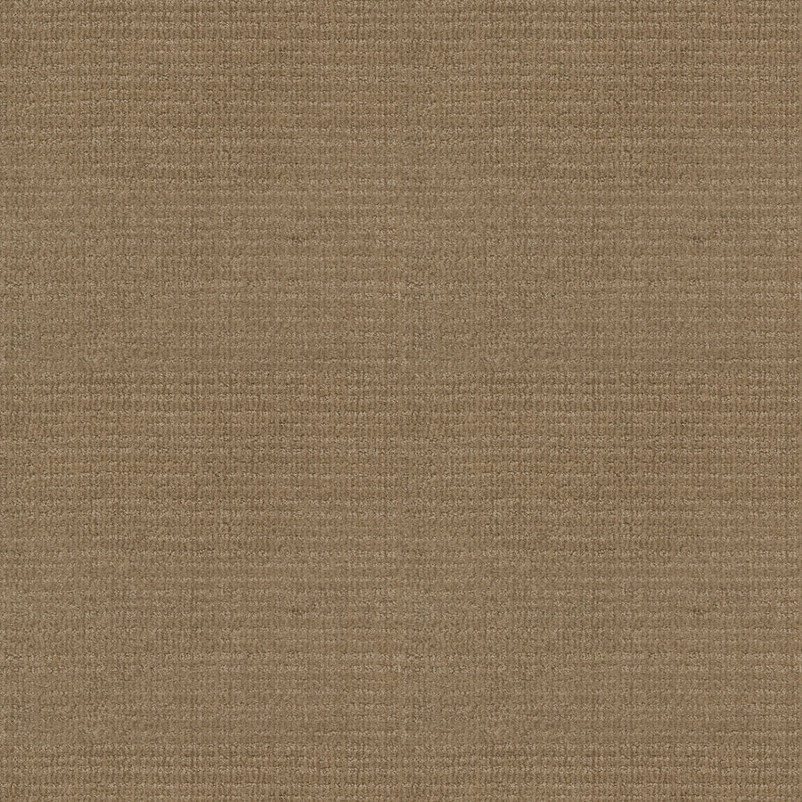 Shaw Floors - Carpet - Classics Collection - Sensible Now - 12' - Gold Rush