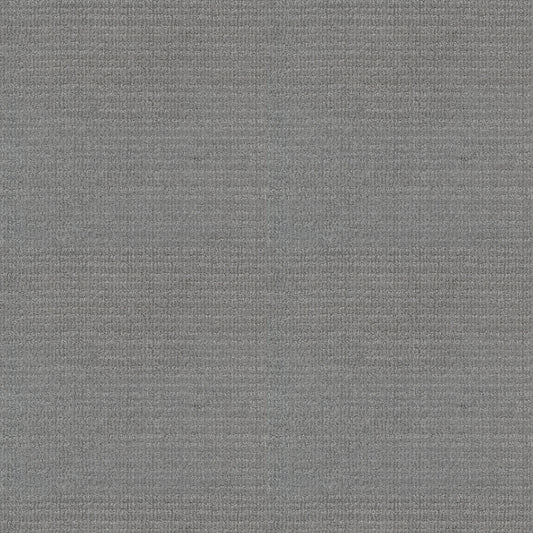 Shaw Floors - Carpet - Classics Collection - Sensible Now - 12' - Silver Springs