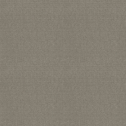 Shaw Floors - Carpet - Classics Collection - Sensible Now - 12' - Silhouette