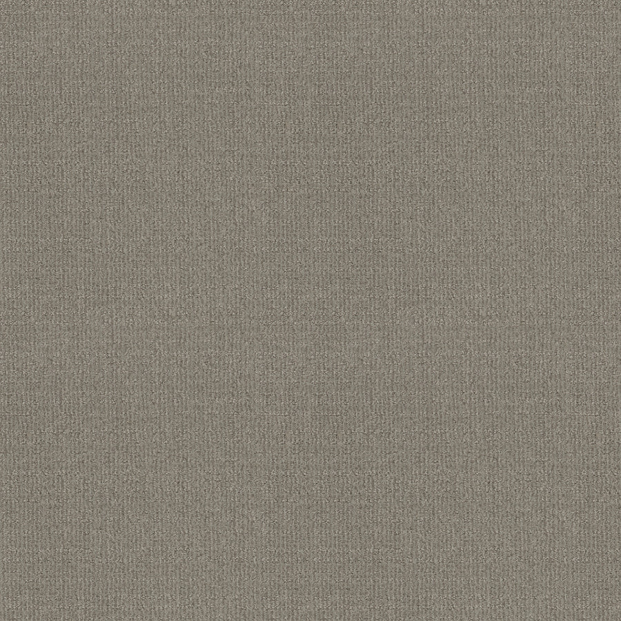 Shaw Floors - Carpet - Classics Collection - Sensible Now - 12' - Silhouette