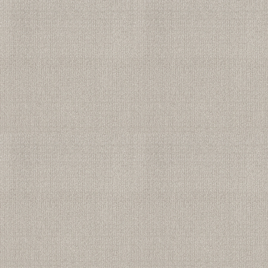 Shaw Floors - Carpet - Classics Collection - Sensible Now - 12' - Rock Crystal