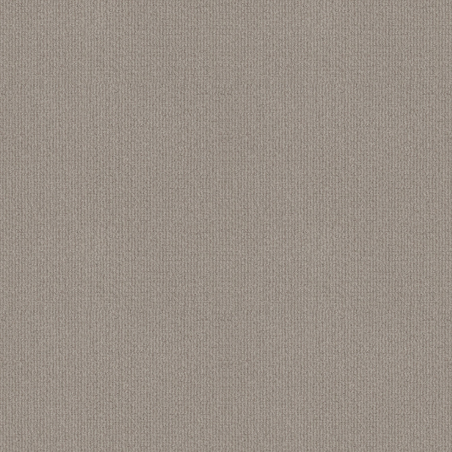 Shaw Floors - Carpet - Classics Collection - Sensible Now - 12' - Etched Glass