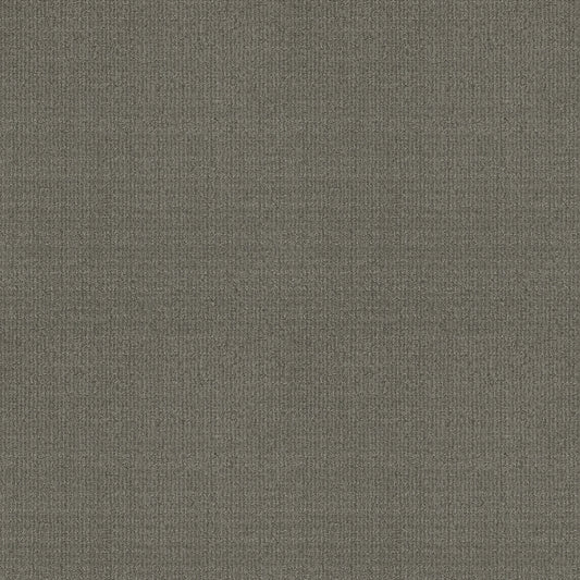 Shaw Floors - Carpet - Classics Collection - Sensible Now - 12' - Metal