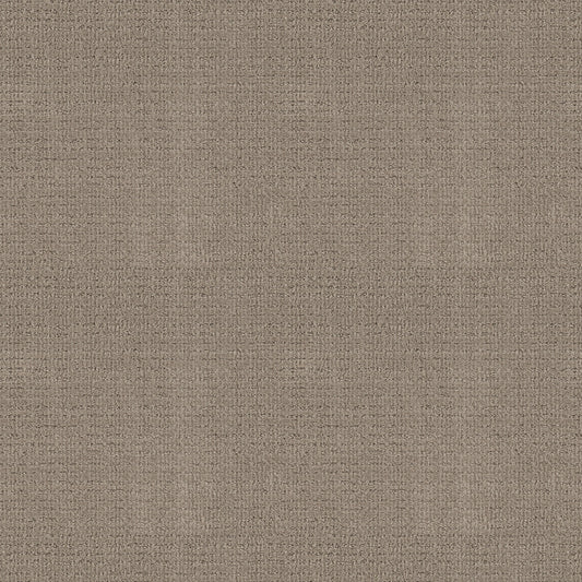 Shaw Floors - Carpet - Classics Collection - Sensible Now - 12' - Park Avenue