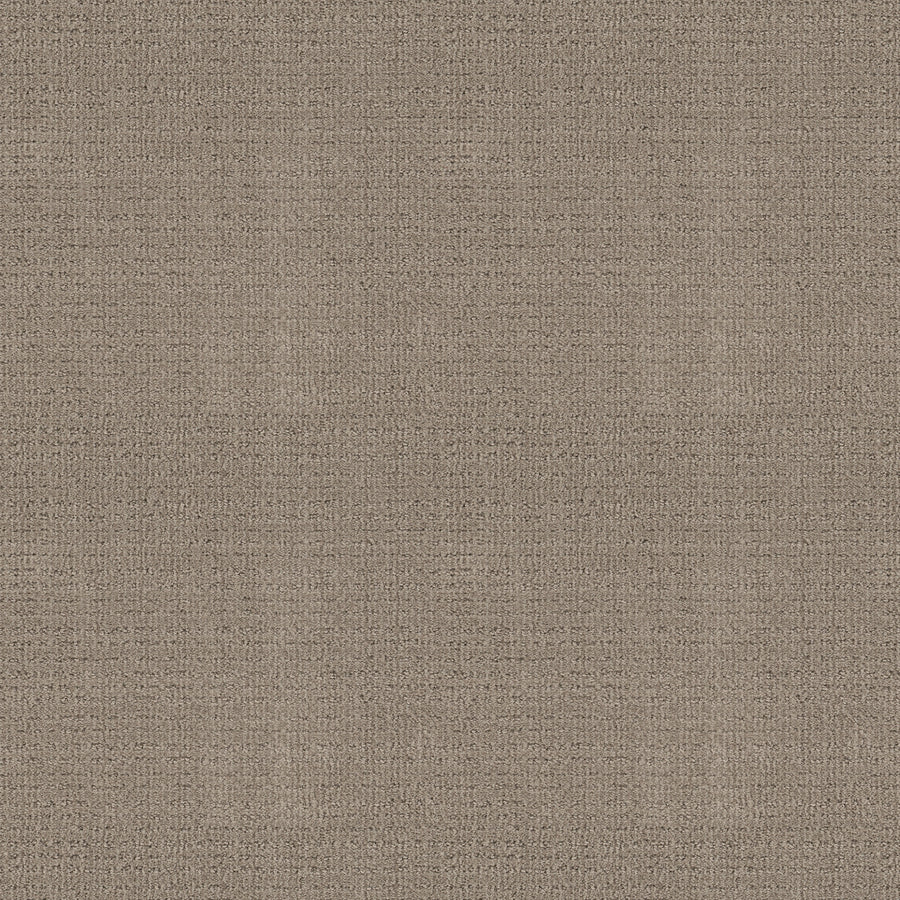 Shaw Floors - Carpet - Classics Collection - Sensible Now - 12' - Park Avenue