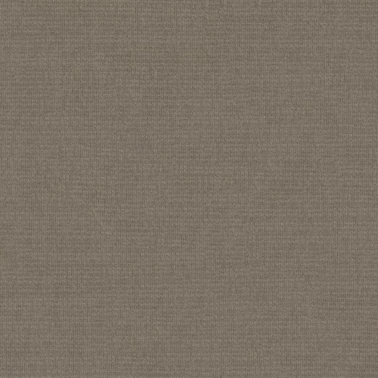 Shaw Floors - Carpet - Classics Collection - Sensible Now - 12' - Abbey Stone