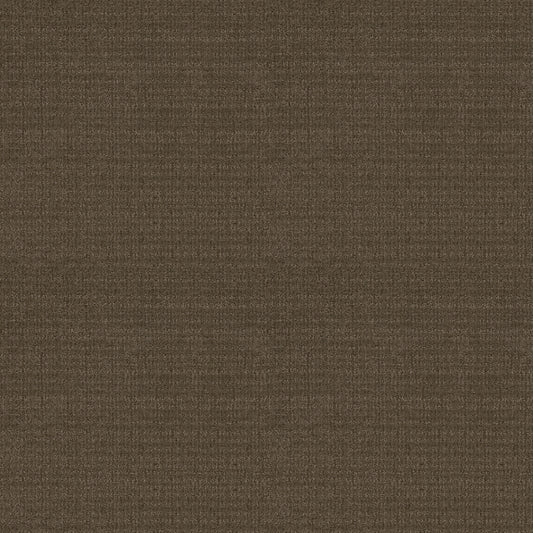 Shaw Floors - Carpet - Classics Collection - Sensible Now - 12' - Antique Chest