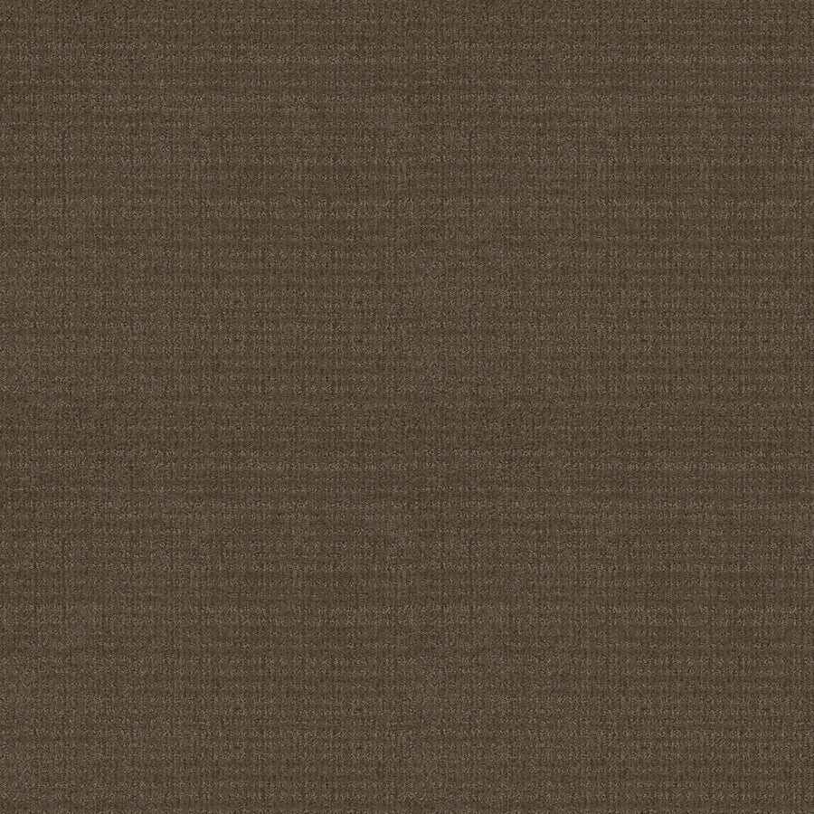 Shaw Floors - Carpet - Classics Collection - Sensible Now - 12' - Antique Chest