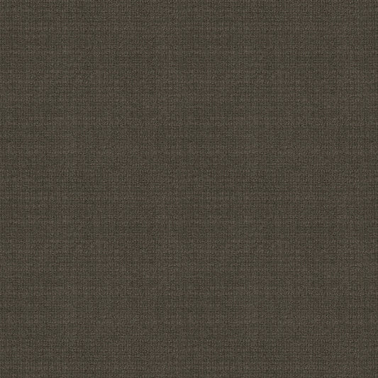 Shaw Floors - Carpet - Classics Collection - Sensible Now - 12' - Iron Gate