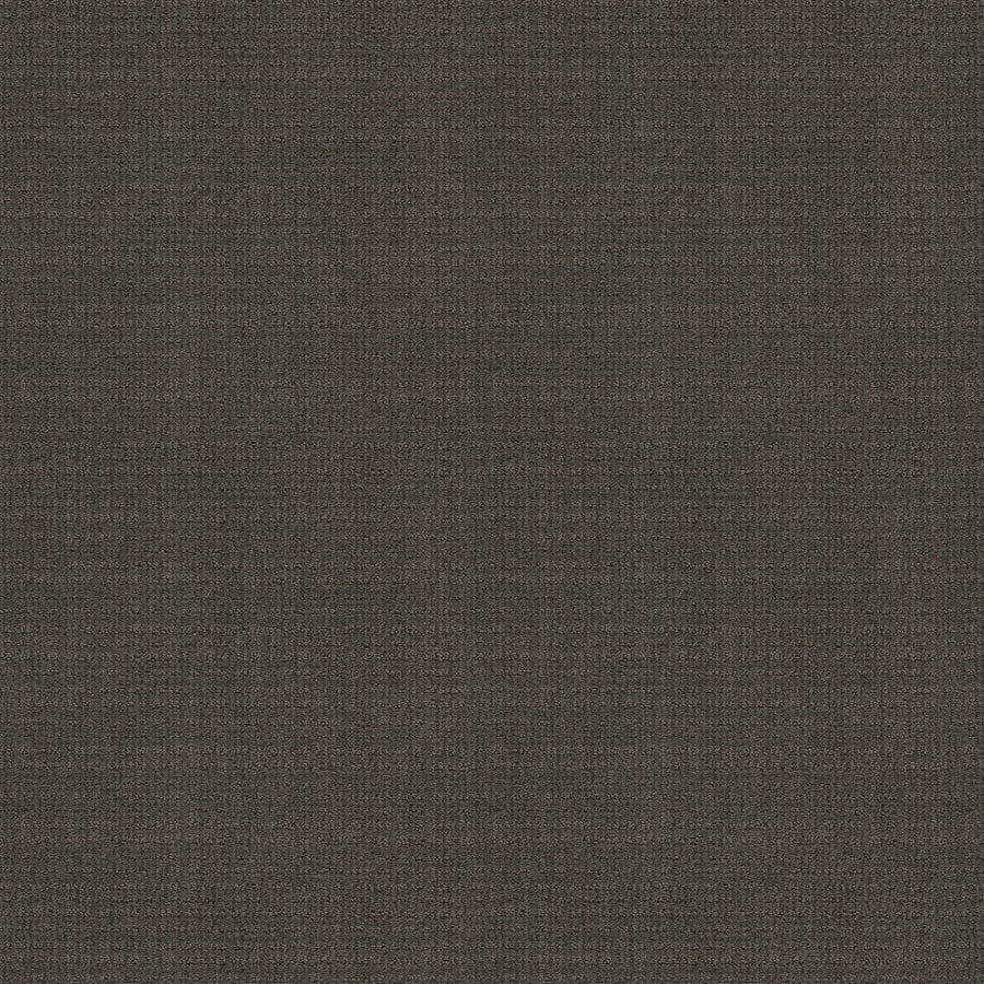 Shaw Floors - Carpet - Classics Collection - Sensible Now - 12' - Iron Gate