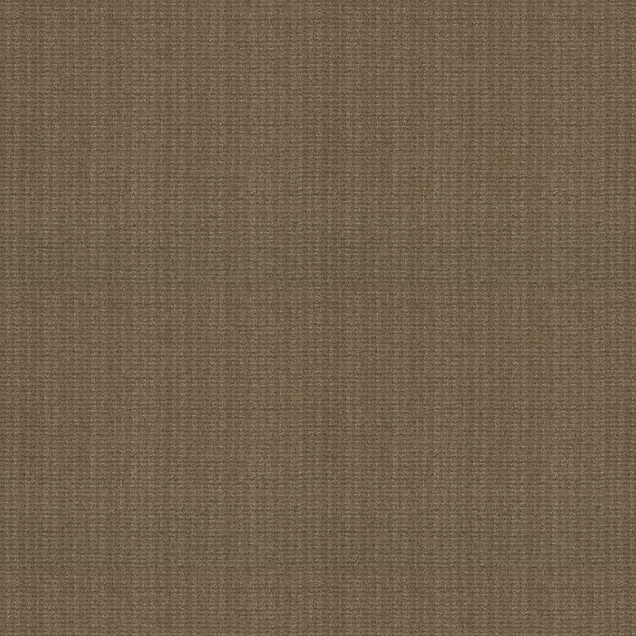 Shaw Floors - Carpet - Classics Collection - Sensible Now - 12' - Summerville