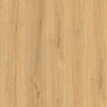 MSI - Wayne Parc™ Collection - Elwood - 9” x 60”