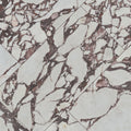 MSI - VIOLETTA  POLISHED - Tile - 24" x 48"