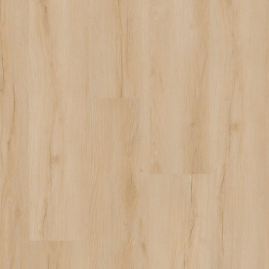 MSI - Nove Plus Collection - Fallonton - 9" x 48"