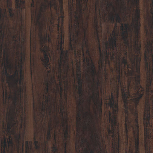 MSI Surfaces - Glenridge - Burnished Acacia