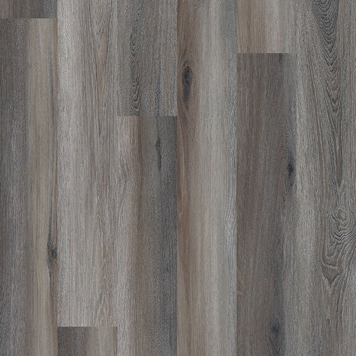 MSI Surfaces - Glenridge - Midnight Maple