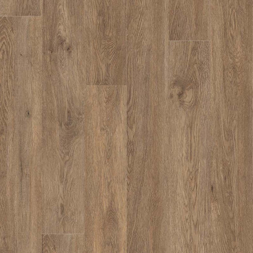 MSI Surfaces - Glenridge - Saddle Oak