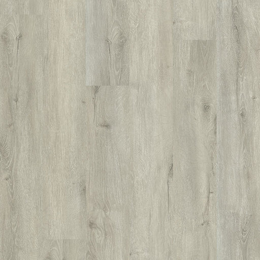 MSI Surfaces - Glenridge - Twilight Oak