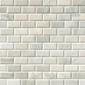 MSI - Greecian White Beveled Subway Tile - 2" x 4"