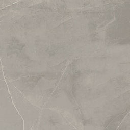 MSI - SANDE GREY  POLISHED - Tile - 48" x 48"